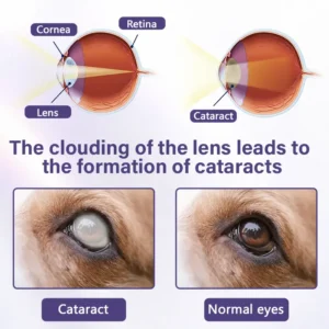 Timilk® NanoCare Pet Eye Drops 👩⚕️ FDA Approved | Relieves Conjunctivitis, Dry Eyes, Cataracts & Keratitis 🐶🐱