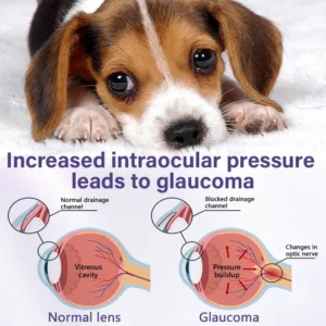 Timilk® NanoCare Pet Eye Drops 👩⚕️ FDA Approved | Relieves Conjunctivitis, Dry Eyes, Cataracts & Keratitis 🐶🐱